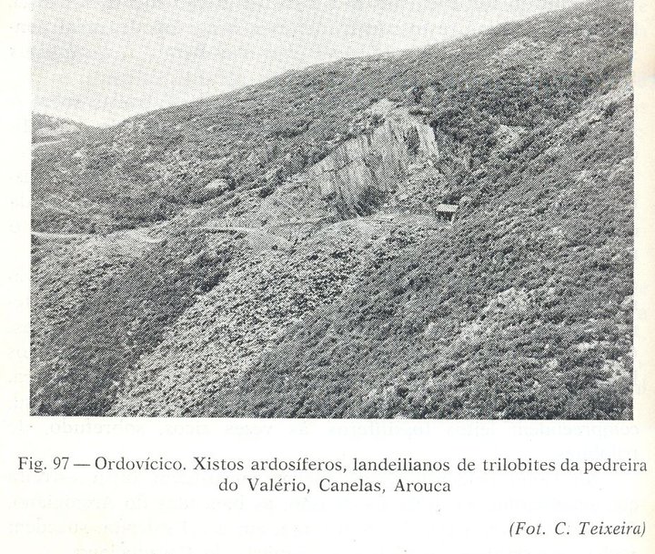 1953 Carlos Teixeira