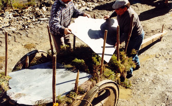 Transporte tradicional